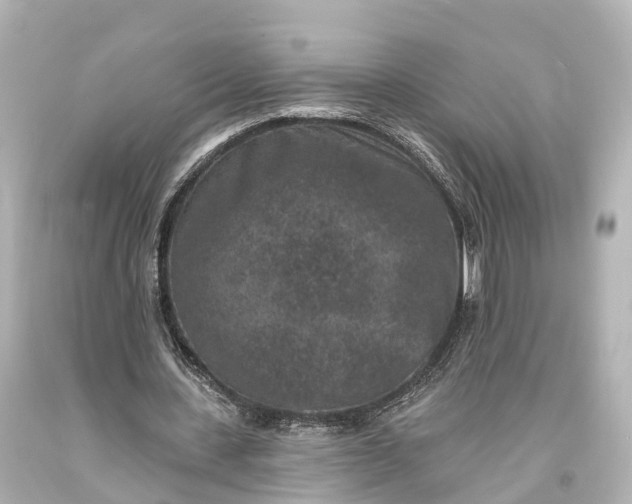 X0000094070531200711021512
