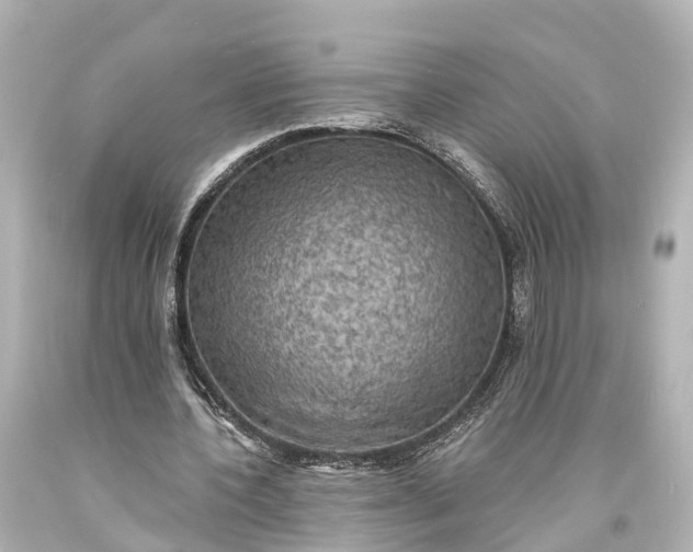 X0000094070532200711021512