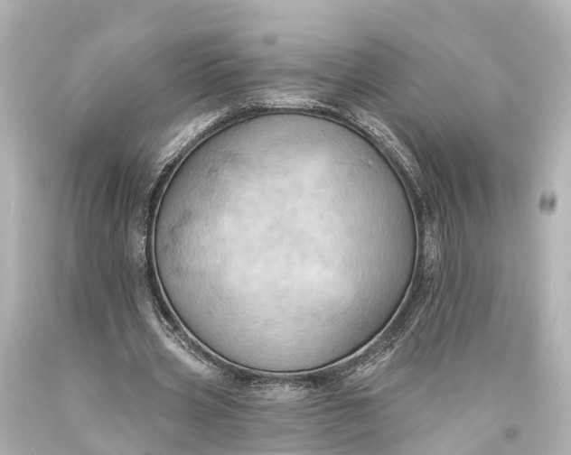 X0000094070533200711021512