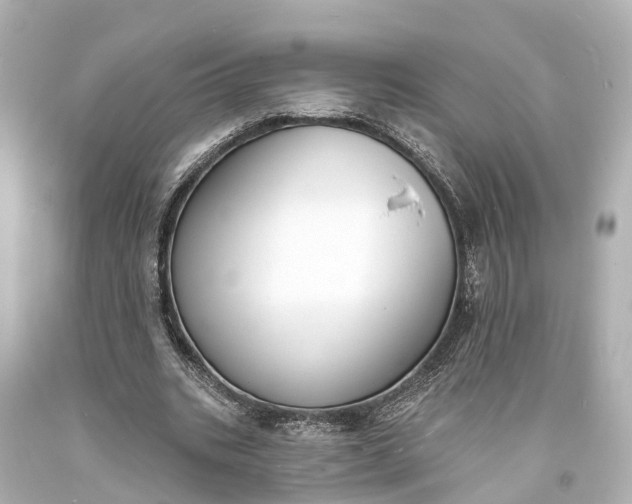 X0000094070535200711021512