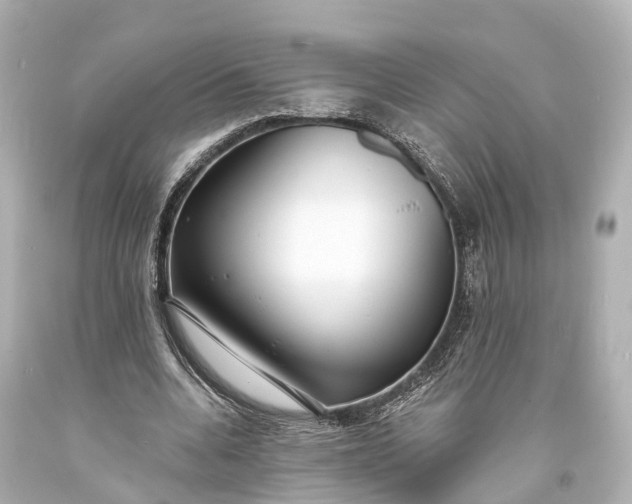 X0000094070536200711021512