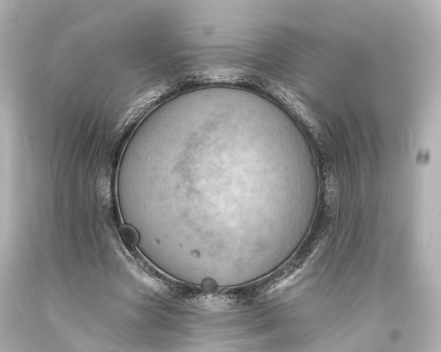X0000094070537200711021512