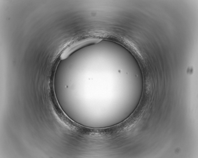 X0000094070538200711021512