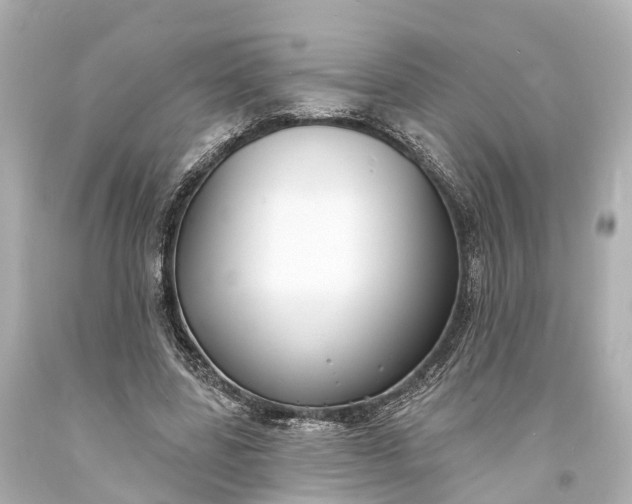 X0000094070539200711021512