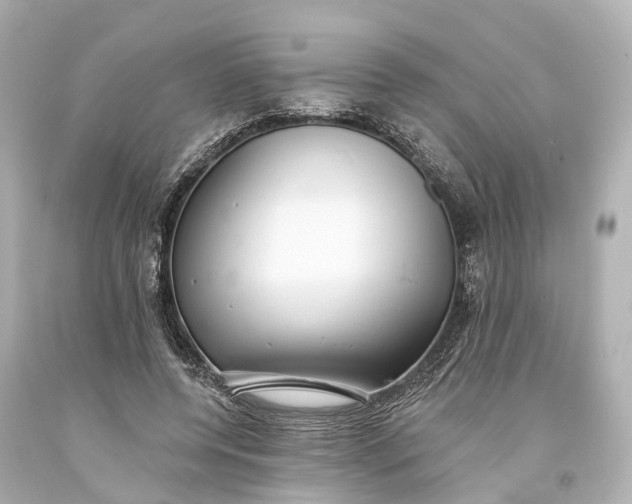 X0000094070544200711021512