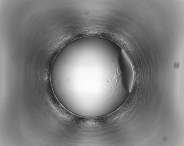 X0000094070546200711021512