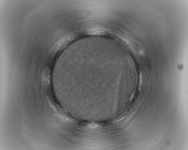 X0000094070547200711021512
