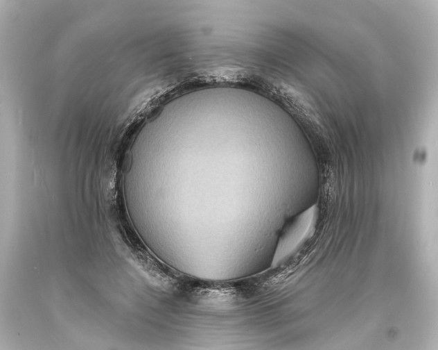 X0000094070548200711021512