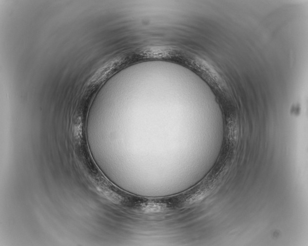 X0000094070549200711021512