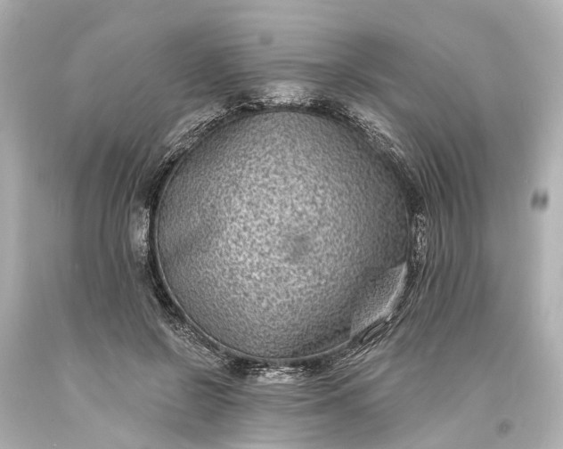 X0000094070550200711021512