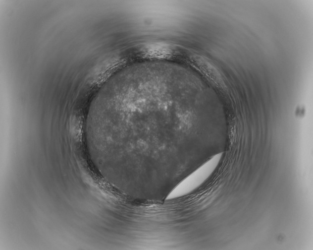 X0000094070551200711021512