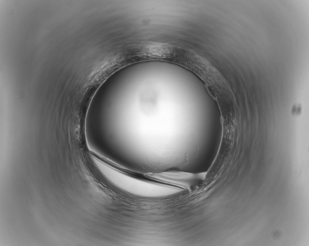 X0000094070552200711021512