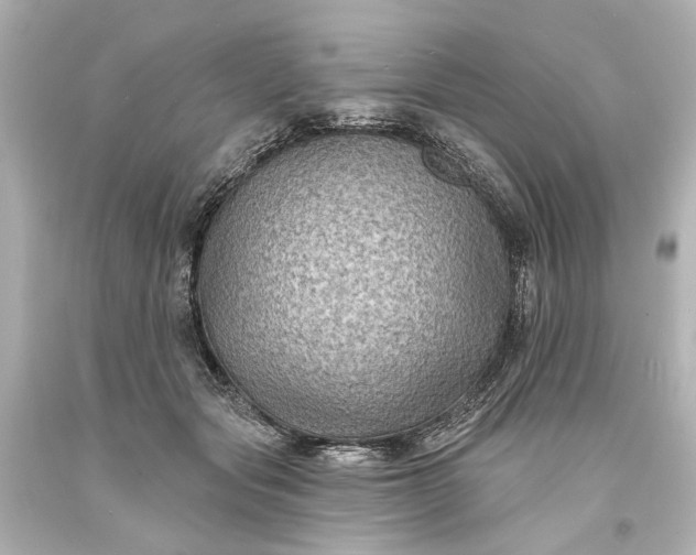 X0000094070557200711021512