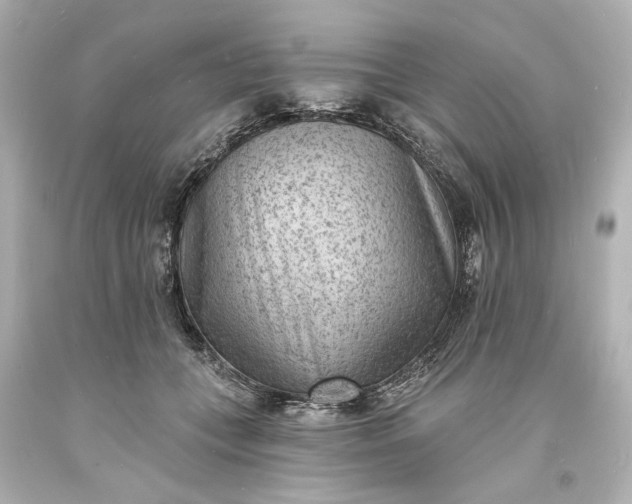 X0000094070559200711021512