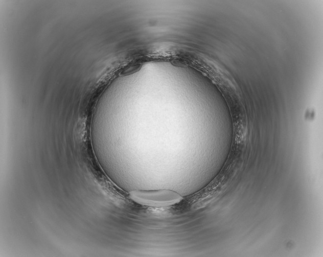 X0000094070560200711021512