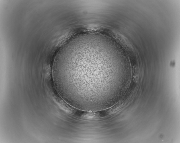 X0000094070563200711021512