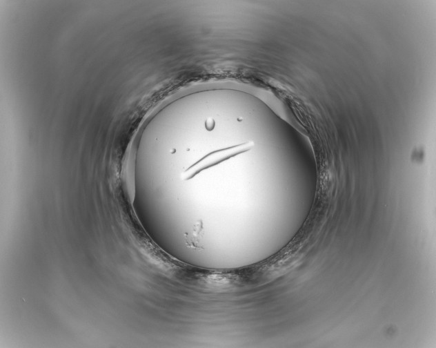 X0000094070566200711021513