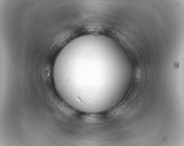 X0000094070567200711021513