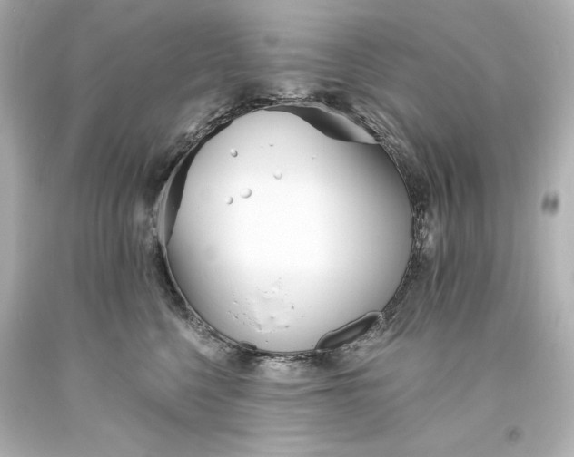 X0000094070568200711021513