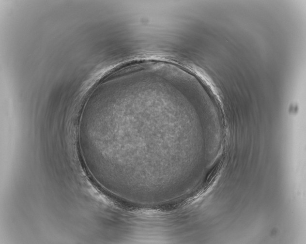 X0000094070577200711021512