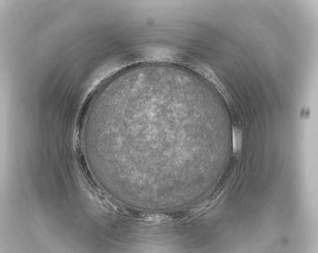 X0000094070579200711021512