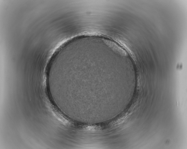 X0000094070584200711021512