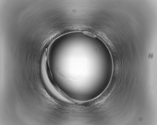X0000094070585200711021512