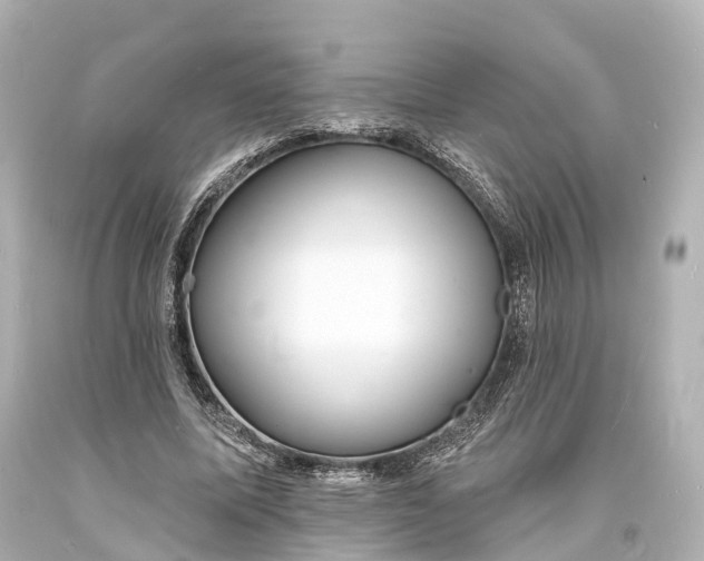 X0000094070587200711021512
