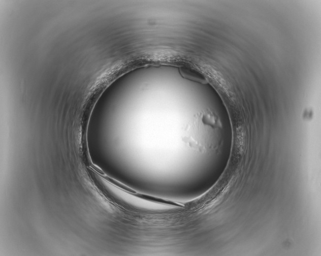 X0000094070589200711021512