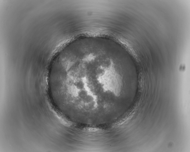 X0000094070590200711021512