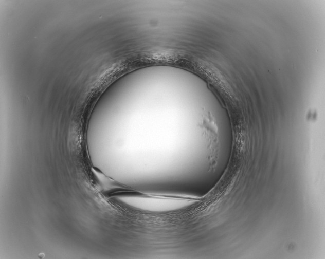 X0000094070593200711021512