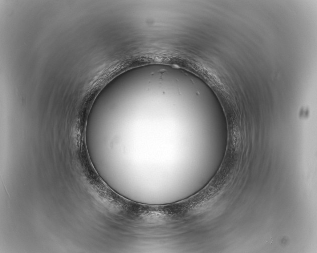 X0000094070594200711021512