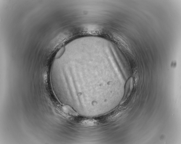 X0000094070595200711021512