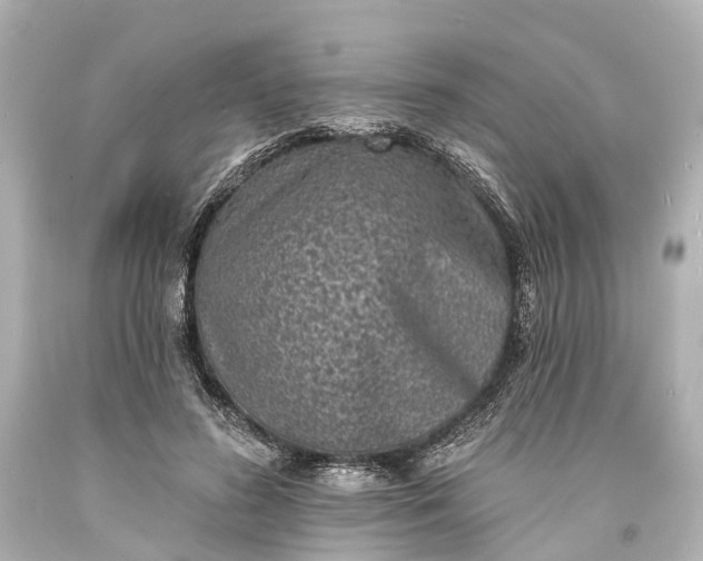 X0000094070596200711021512