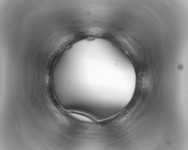 X0000094070597200711021512