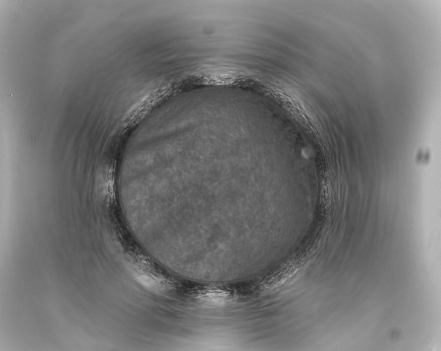 X0000094070598200711021512