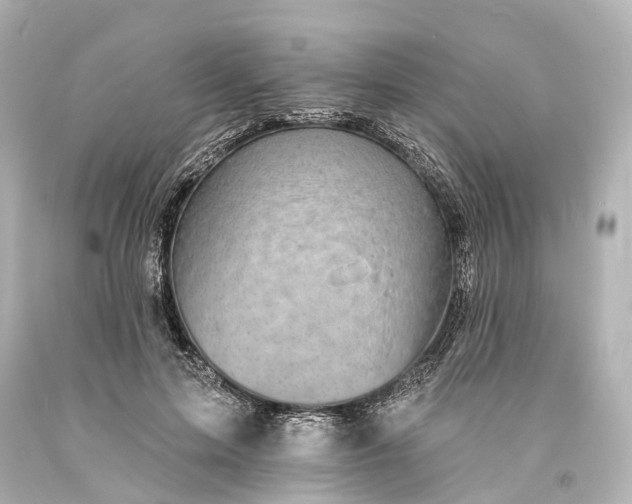 X0000094070599200711021512