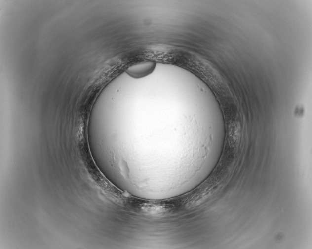 X0000094070602200711021511