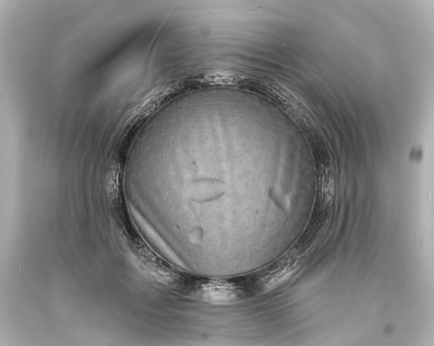 X0000094070603200711021511