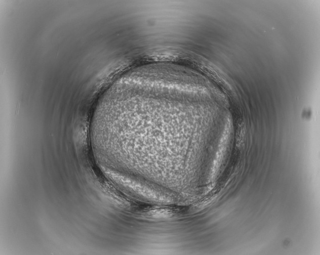 X0000094070604200711021511