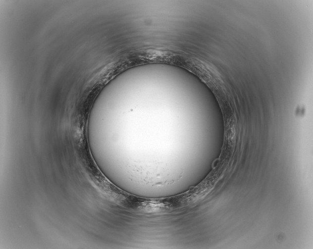 X0000094070607200711021511