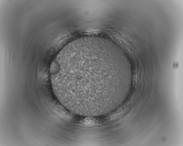 X0000094070608200711021511