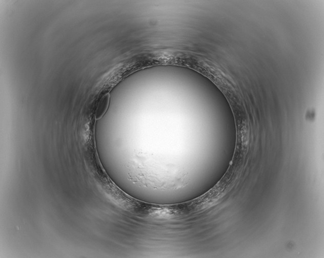 X0000094070611200711021511