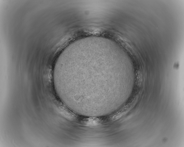 X0000094070612200711021511