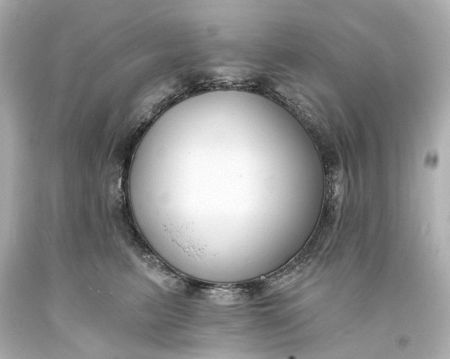 X0000094070615200711021511