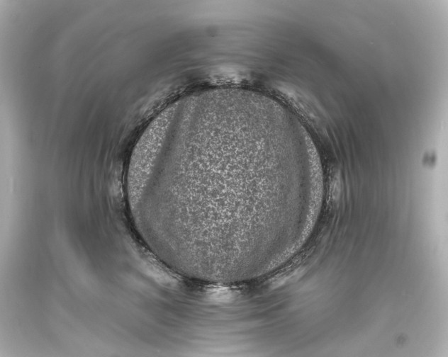 X0000094070616200711021511