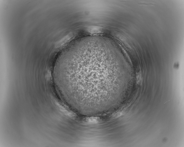 X0000094070618200711021511