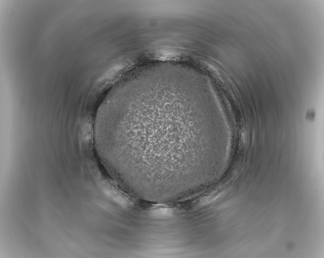 X0000094070620200711021511