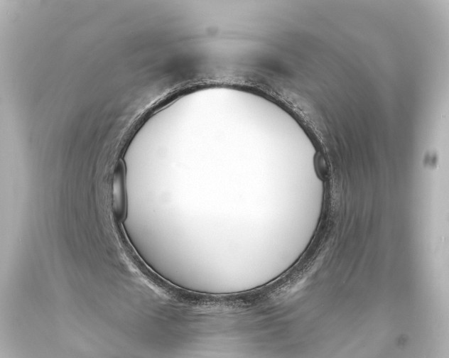 X0000094070625200711021510