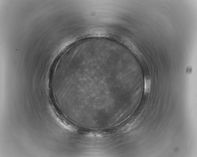 X0000094070627200711021510